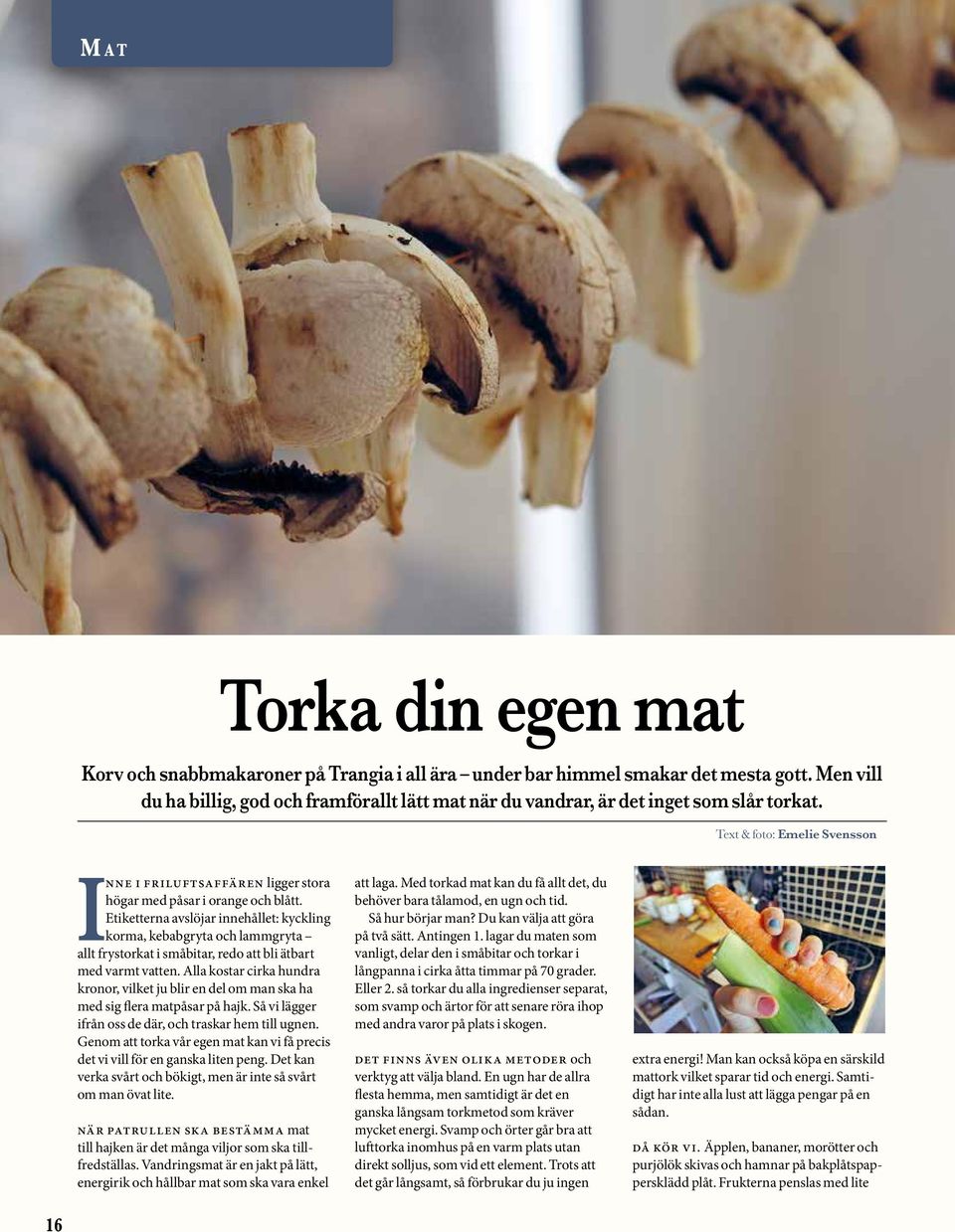 Etiketterna avslöjar innehållet: kyckling korma, kebabgryta och lammgryta allt frystorkat i småbitar, redo att bli ätbart med varmt vatten.