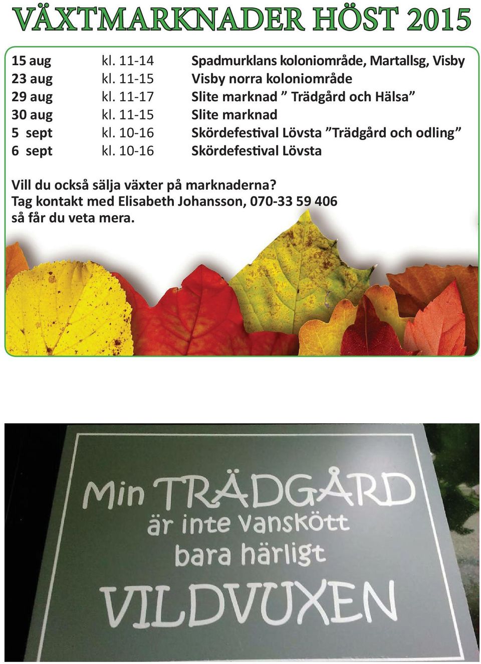 11-15 Slite marknad 5 sept kl. 10-16 Skördefestival Lövsta Trädgård och odling 6 sept kl.