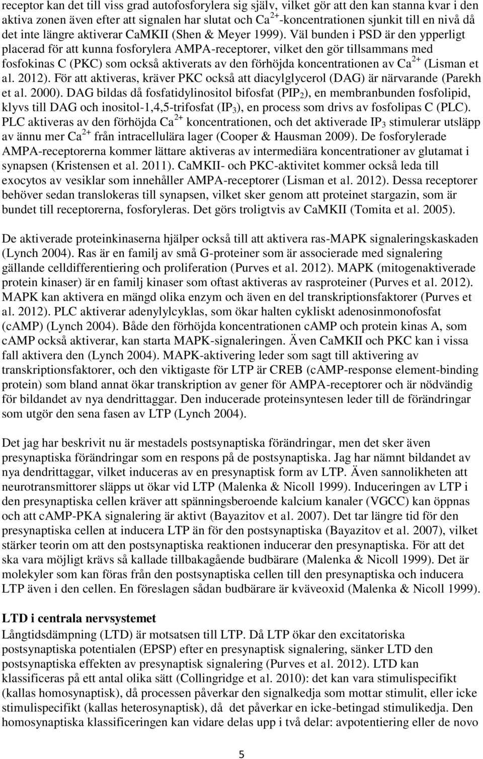 Väl bunden i PSD är den ypperligt placerad för att kunna fosforylera AMPA-receptorer, vilket den gör tillsammans med fosfokinas C (PKC) som också aktiverats av den förhöjda koncentrationen av Ca 2+