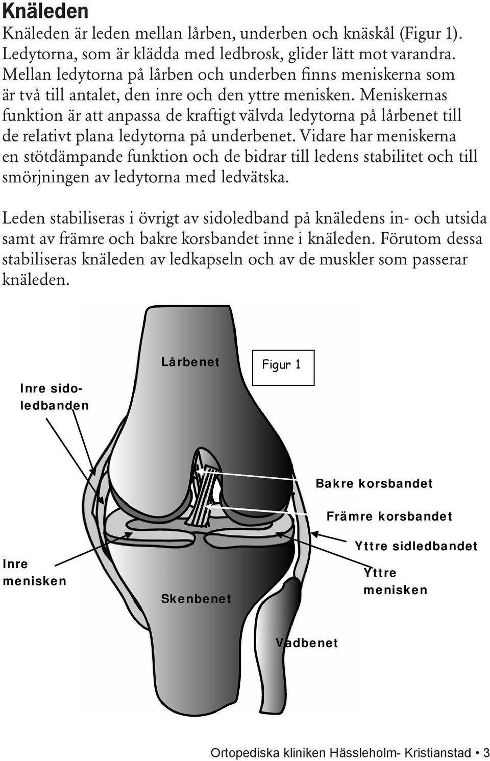 Meniskernas funktion är att anpassa de kraftigt välvda ledytorna på lårbenet till de relativt plana ledytorna på underbenet.