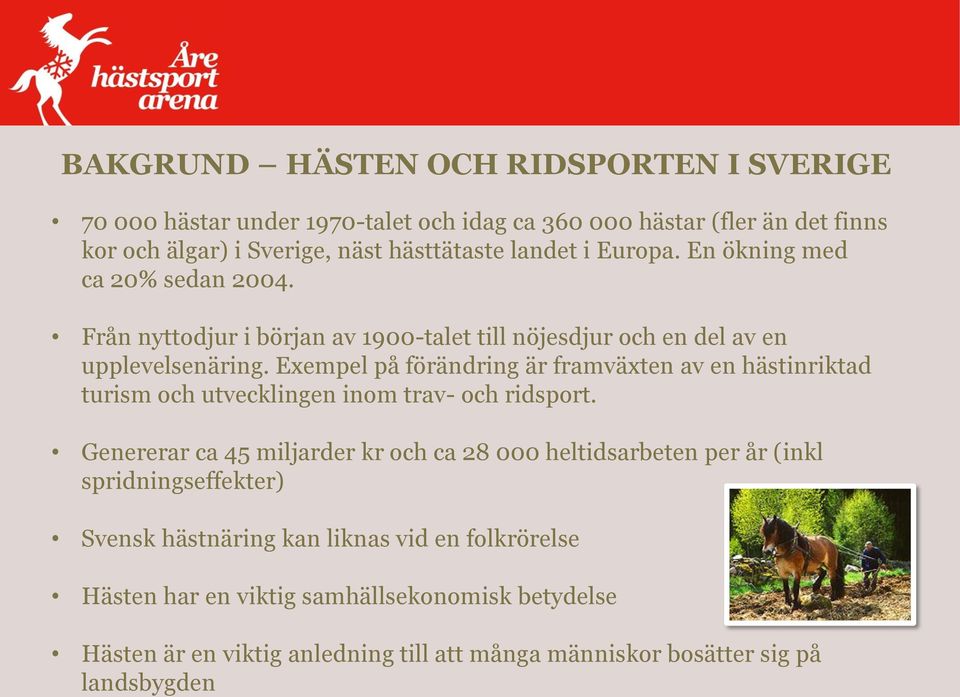 Exempel på förändring är framväxten av en hästinriktad turism och utvecklingen inom trav- och ridsport.
