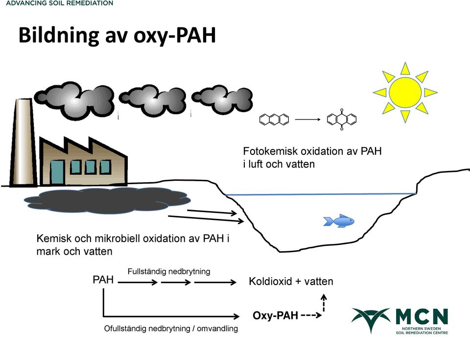 PAH i mark och vatten PAH Fullständig nedbrytning
