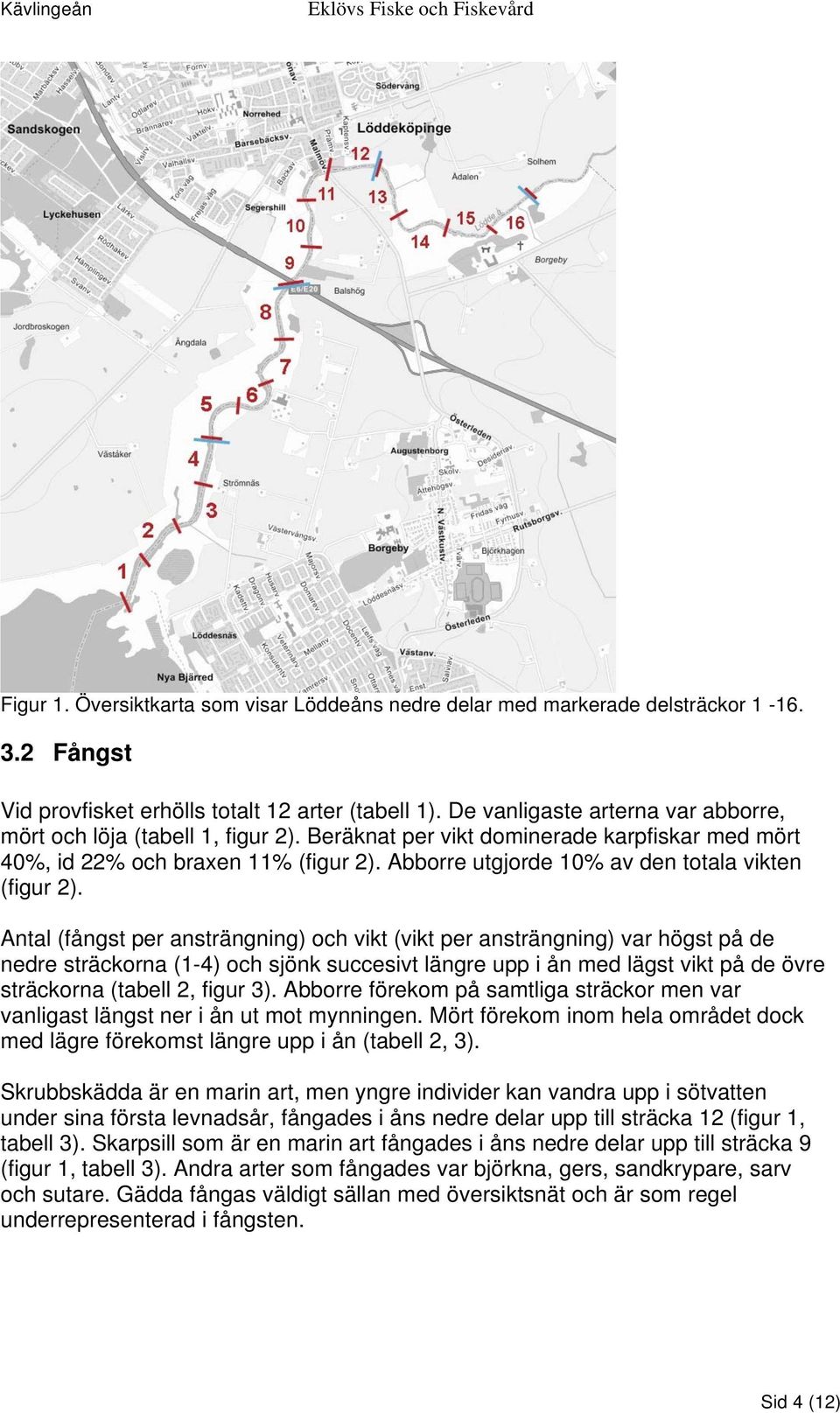 Abborre utgjorde 10% av den totala vikten (figur 2).