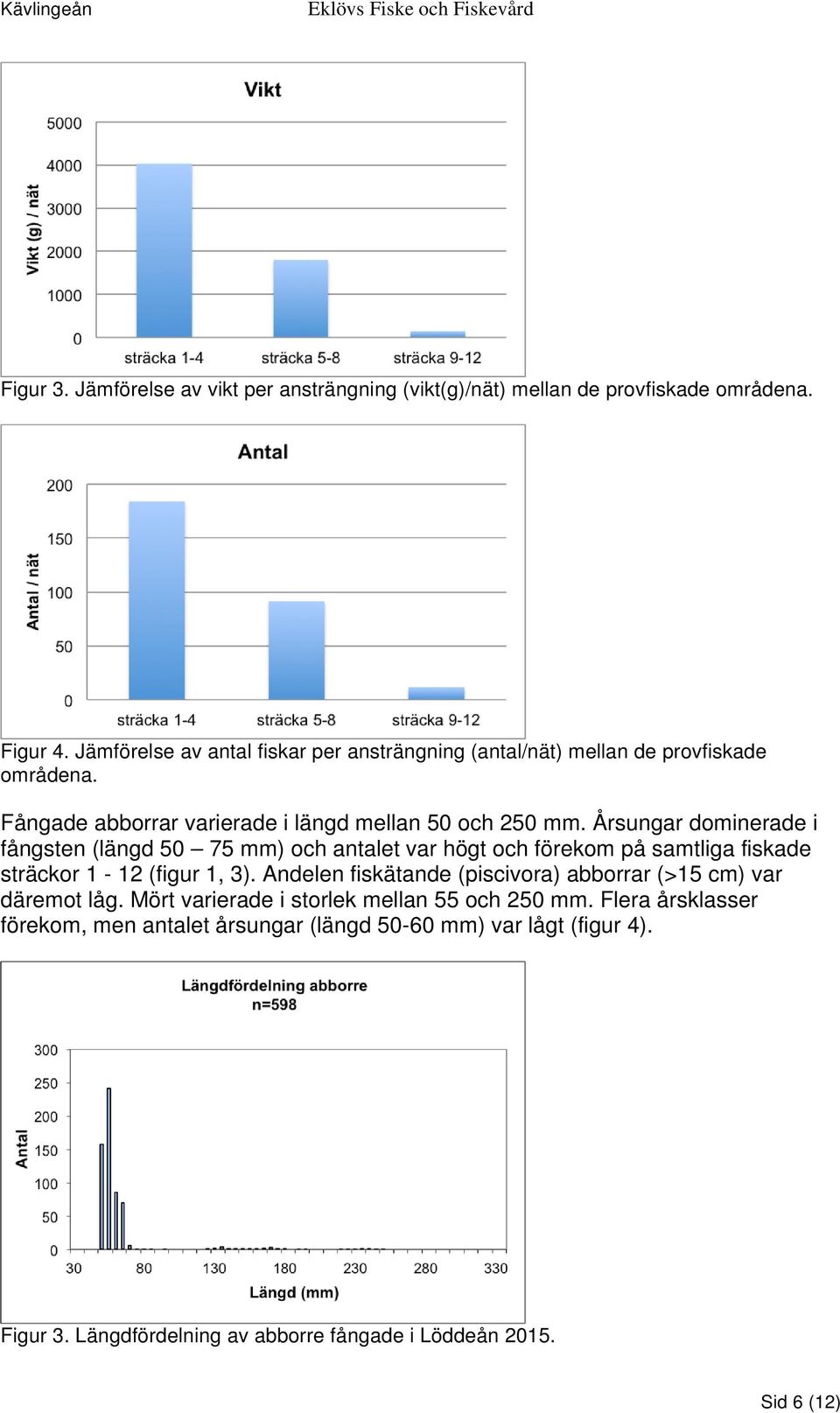 Årsungar dominerade i fångsten (längd 50 75 mm) och antalet var högt och förekom på samtliga fiskade sträckor 1-12 (figur 1, 3).