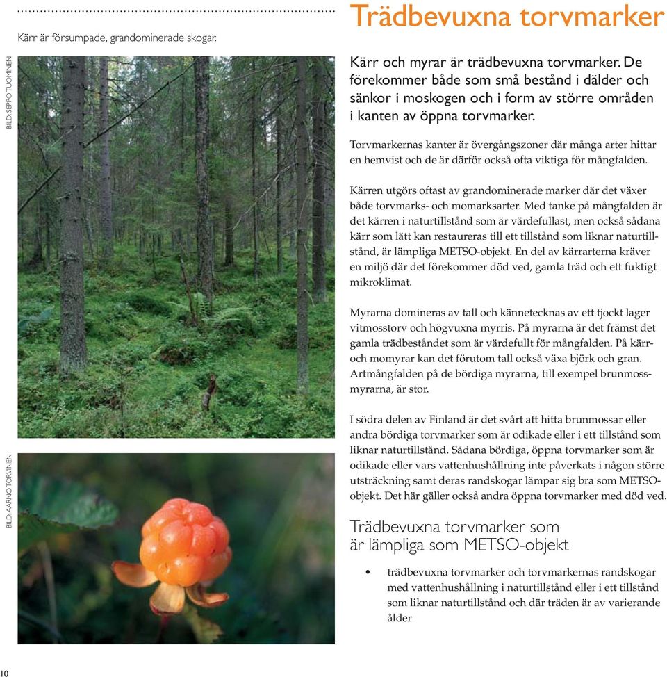 både torvmarks- och momarksarter. Med tanke på mångfalden är kärr som lätt kan restaureras till ett tillstånd som liknar naturtill- mikroklimat.