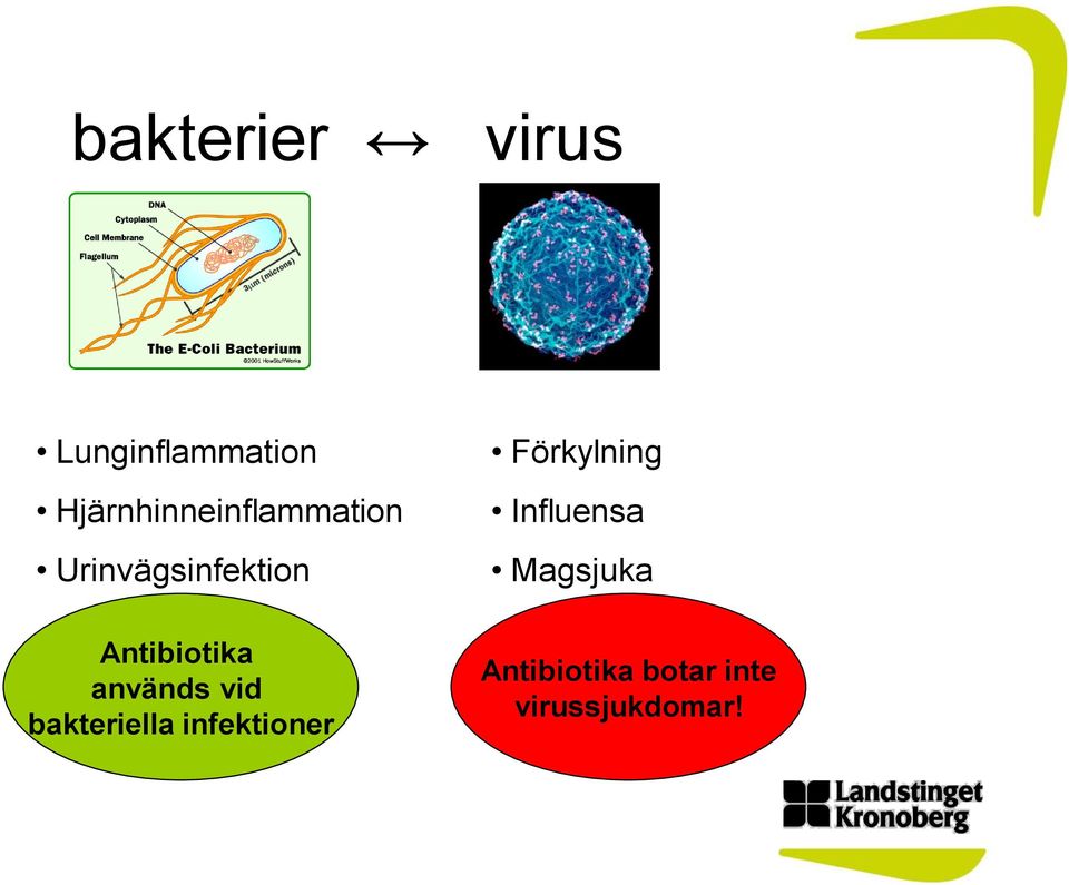 Antibiotika används vid bakteriella infektioner