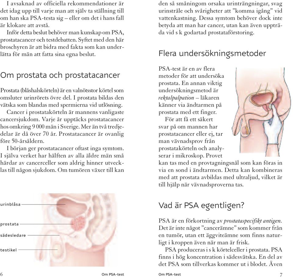 Om prostata och prostatacancer Prostata (blåshalskörteln) är en valnötsstor körtel som omsluter urinrörets övre del. I prostata bildas den vätska som blandas med spermierna vid utlösning.