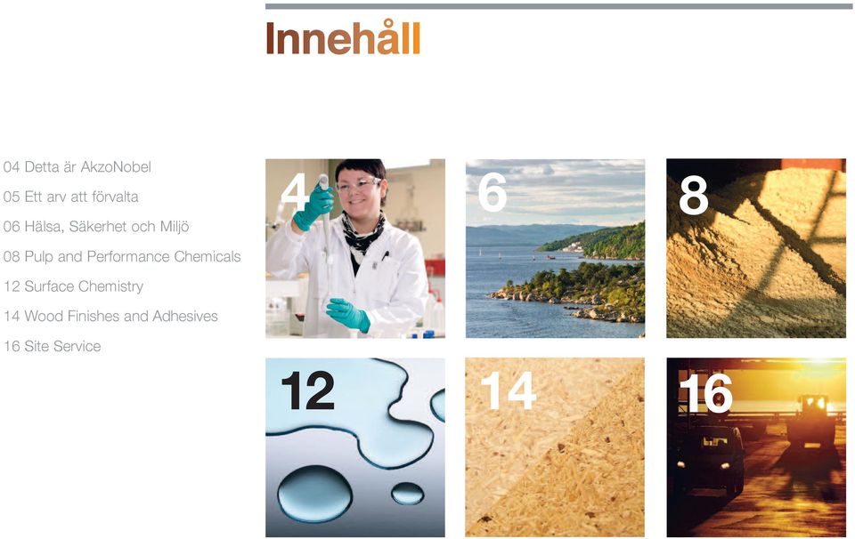 Performance Chemicals 12 Surface Chemistry 14