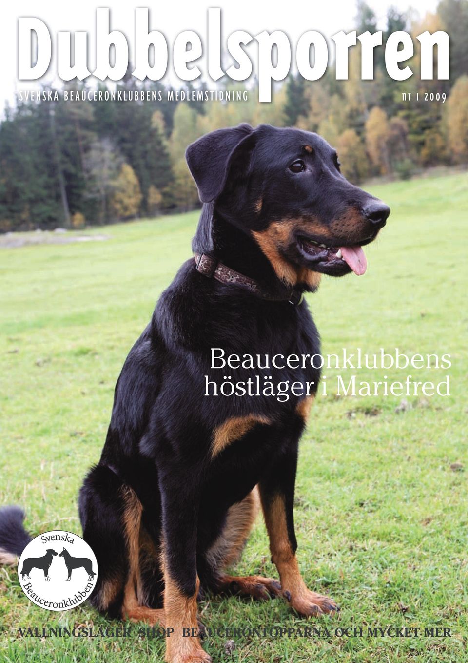 Beauceronklubbens höstläger i Mariefred