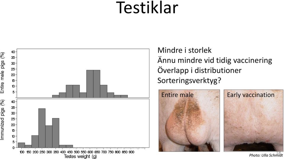 distributioner Sorteringsverktyg?