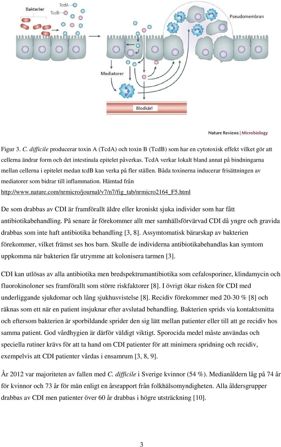 Hämtad från http://www.nature.com/nrmicro/journal/v7/n7/fig_tab/nrmicro2164_f5.html De som drabbas av CDI är framförallt äldre eller kroniskt sjuka individer som har fått antibiotikabehandling.