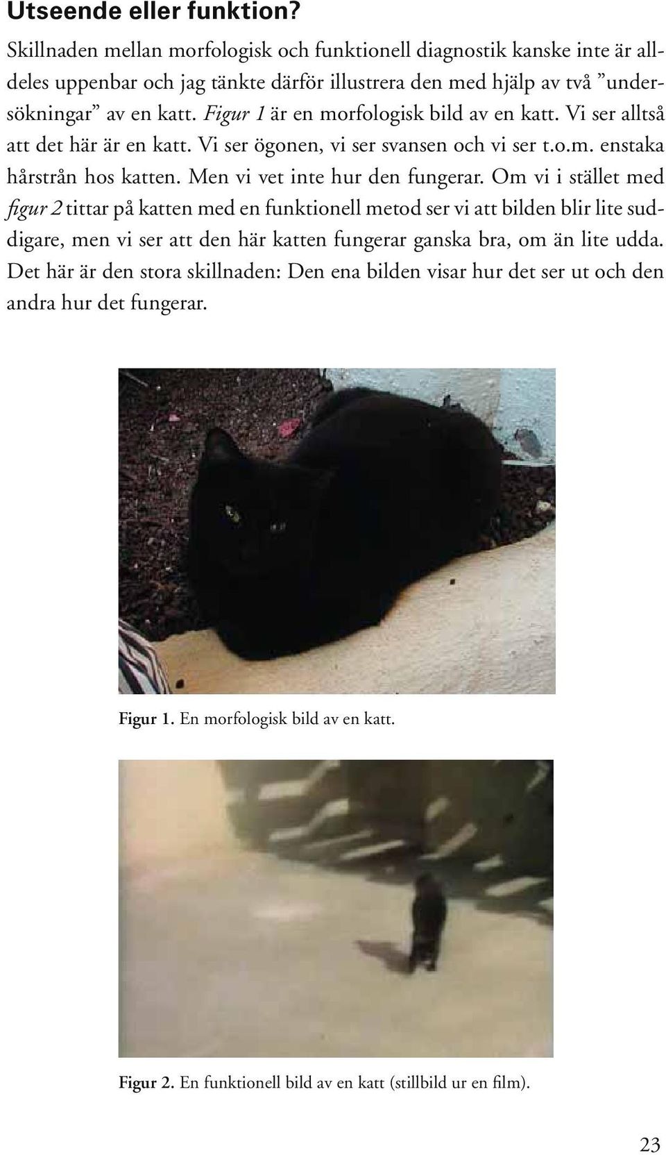 Figur 1 är en morfologisk bild av en katt. Vi ser alltså att det här är en katt. Vi ser ögonen, vi ser svansen och vi ser t.o.m. enstaka hårstrån hos katten. Men vi vet inte hur den fungerar.