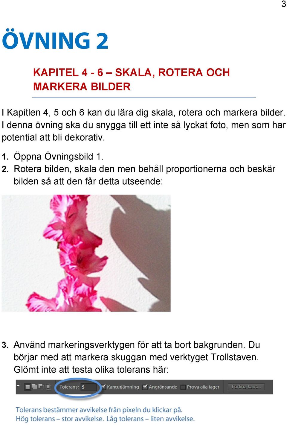 Rotera bilden, skala den men behåll proportionerna och beskär bilden så att den får detta utseende: 3.