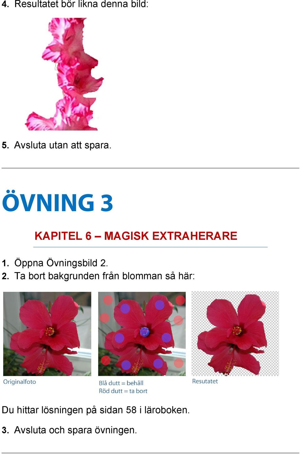 ÖVNING 3 KAPITEL 6 MAGISK EXTRAHERARE 1. Öppna Övningsbild 2.