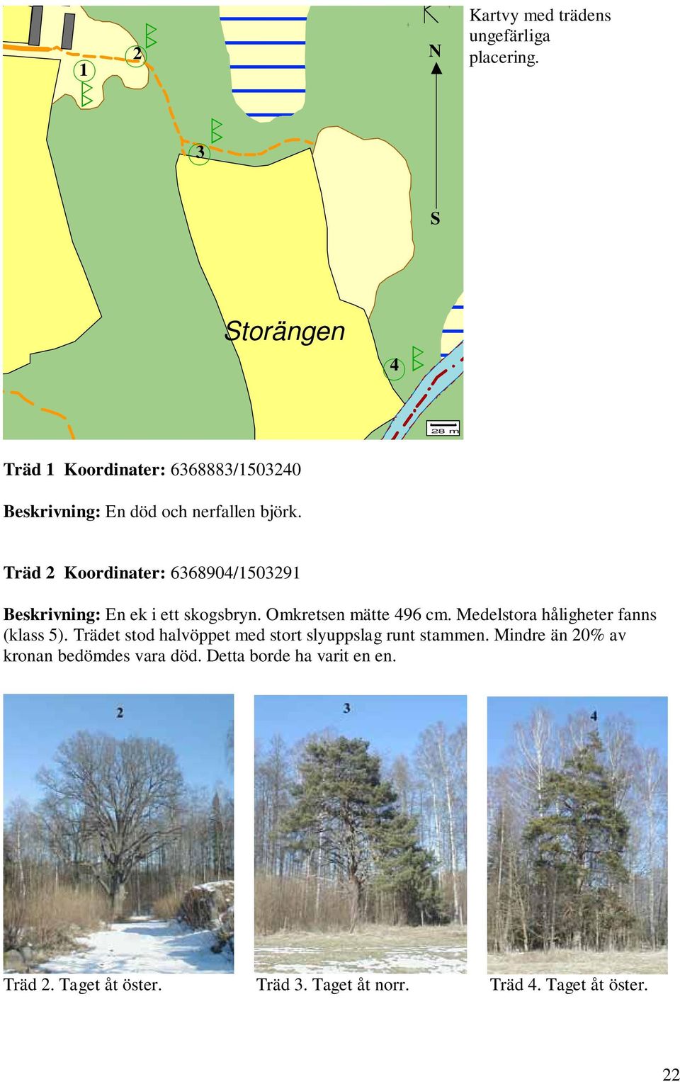 Träd Koordinater: 668904/509 Beskrivning: En ek i ett skogsryn. Omkretsen mätte 496 cm.