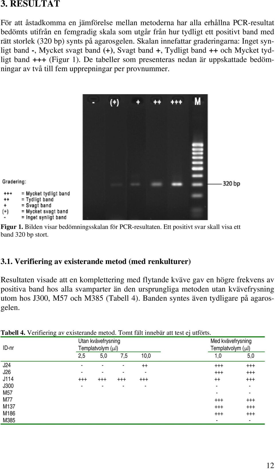 De tabeller som presenteras nedan är uppskattade bedömningar av två till fem upprepningar per provnummer. Figur 1. Bilden visar bedömningsskalan för PCR-resultaten.