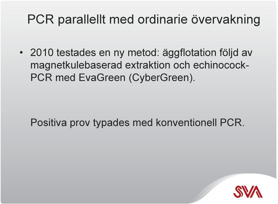 magnetkulebaserad extraktion och echinocock- PCR med