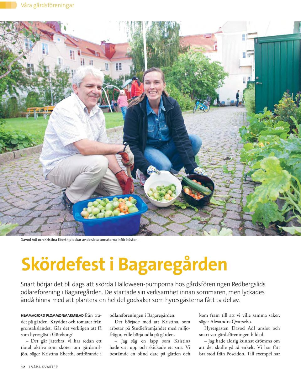 Skördefest i Bagaregården Snart börjar det bli dags att skörda Halloween-pumporna hos gårdsföreningen Redbergslids odlareförening i Bagaregården.