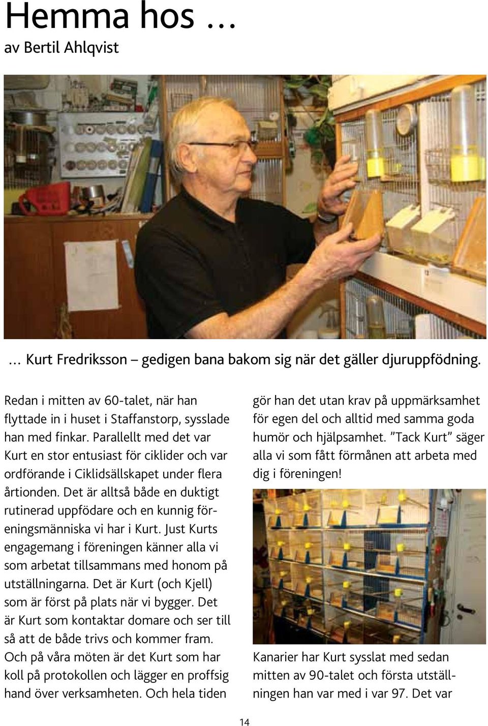 Det är alltså både en duktigt rutinerad uppfödare och en kunnig föreningsmänniska vi har i Kurt. Just Kurts engagemang i föreningen känner alla vi som arbetat tillsammans med honom på utställningarna.