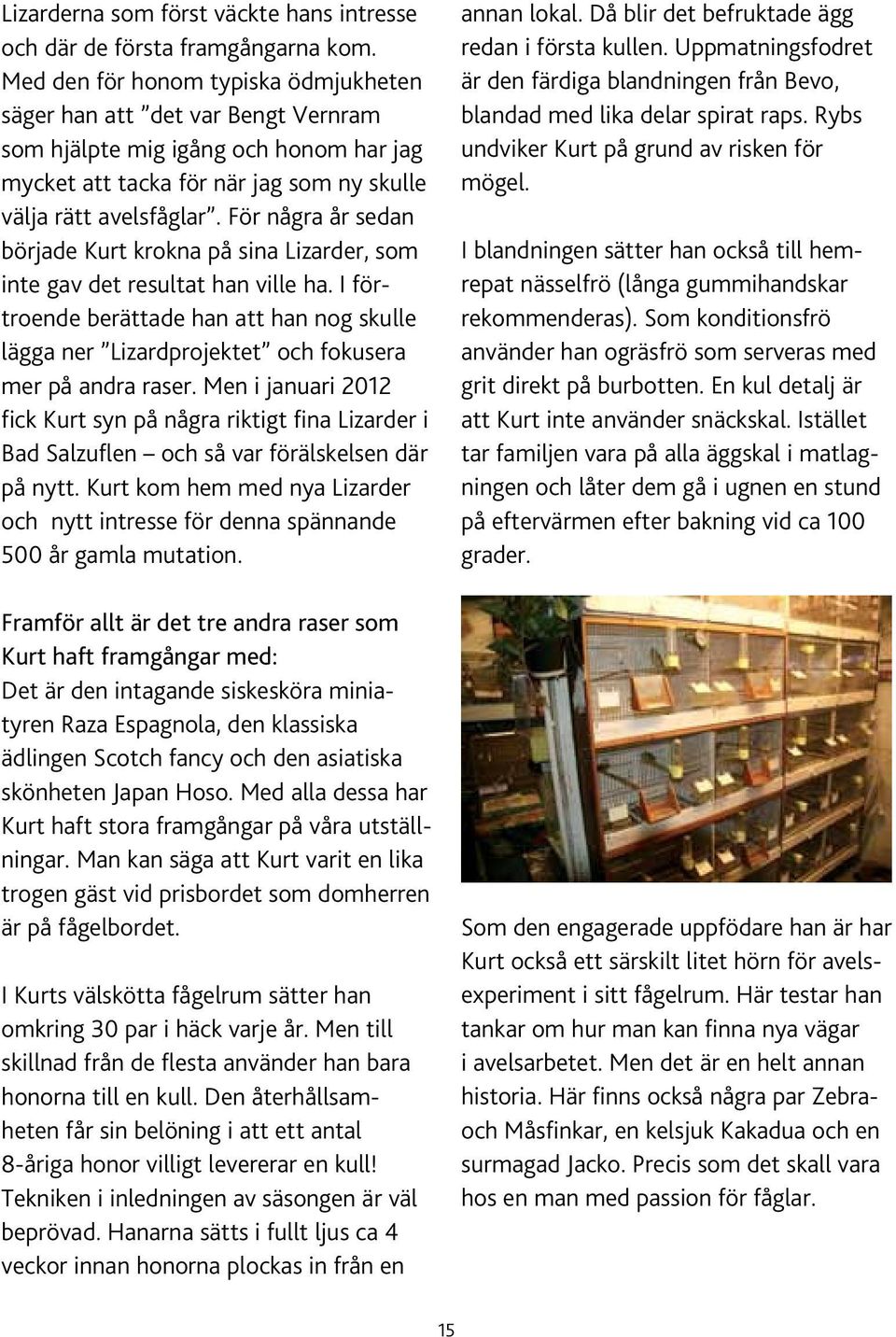 För några år sedan började Kurt krokna på sina Lizarder, som inte gav det resultat han ville ha.
