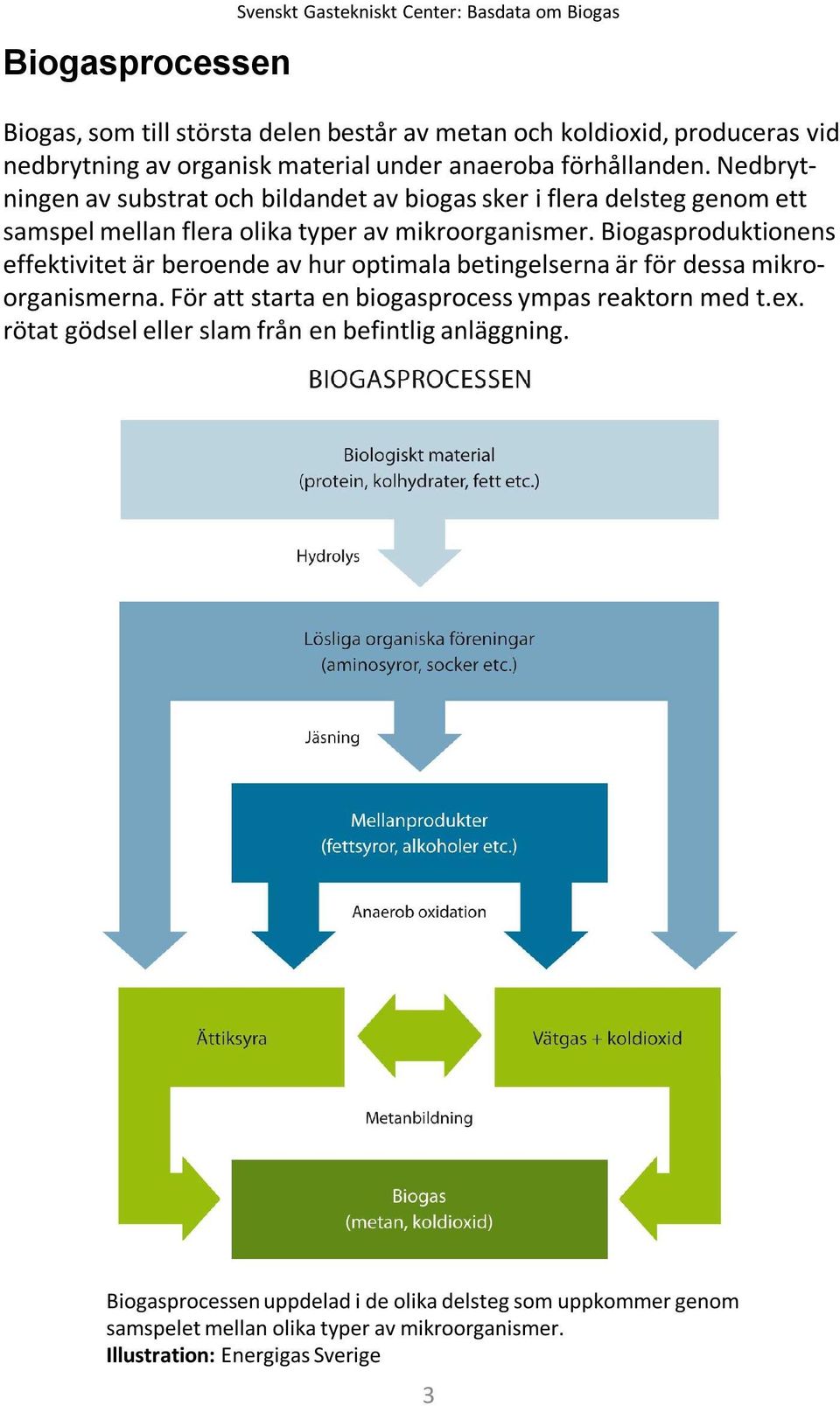 Biogasproduktionens effektivitet är beroende av hur optimala betingelserna är för dessa mikroorganismerna. För att starta en biogasprocess ympas reaktorn med t.ex.