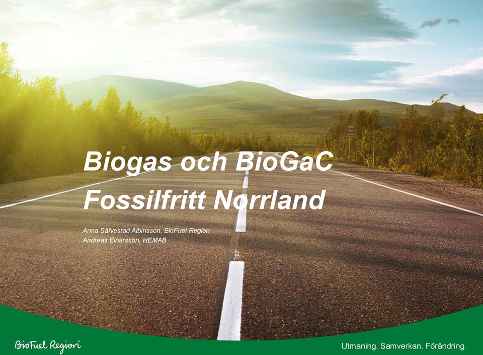 BioFuel Region Andreas Einarsson,