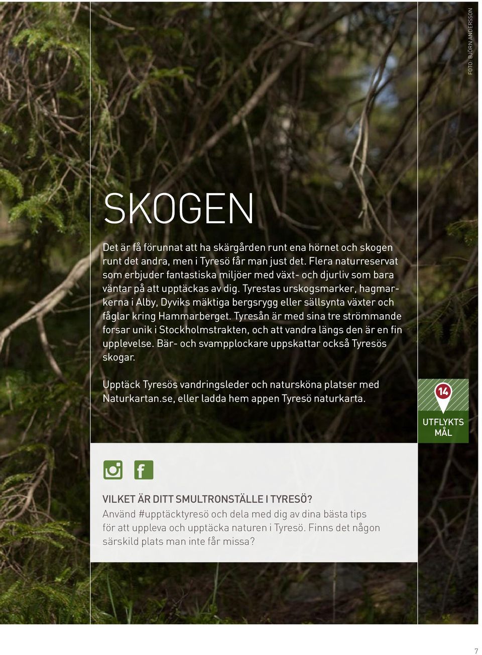 Tyrestas urskogsmarker, hagmarkerna i Alby, Dyviks mäktiga bergsrygg eller sällsynta växter och fåglar kring Hammarberget.