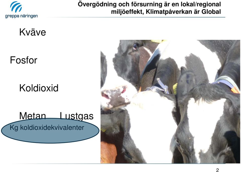 Klimatpåverkan är Global Kväve Fosfor