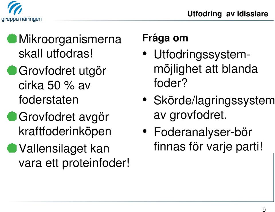 Vallensilaget kan vara ett proteinfoder!