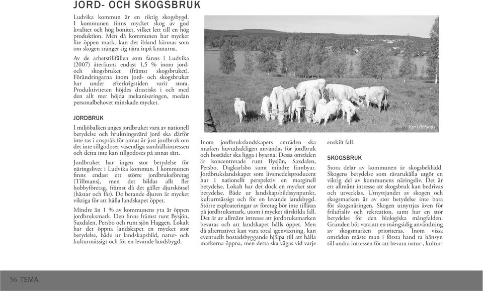 Av de arbetstillfällen som fanns i Ludvika (2007) återfanns endast 1,5 % inom jordoch skogsbruket (främst skogsbruket). Förändringarna inom jord- och skogsbruket har under efterkrigstiden varit stora.