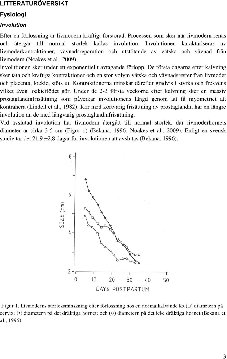 Involutionen sker under ett exponentiellt avtagande förlopp.