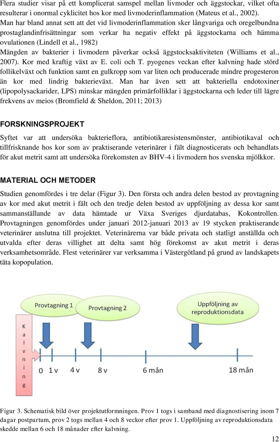 , 1982) Mängden av bakterier i livmodern påverkar också äggstocksaktiviteten (Williams et al., 2007). Kor med kraftig växt av E. coli och T.