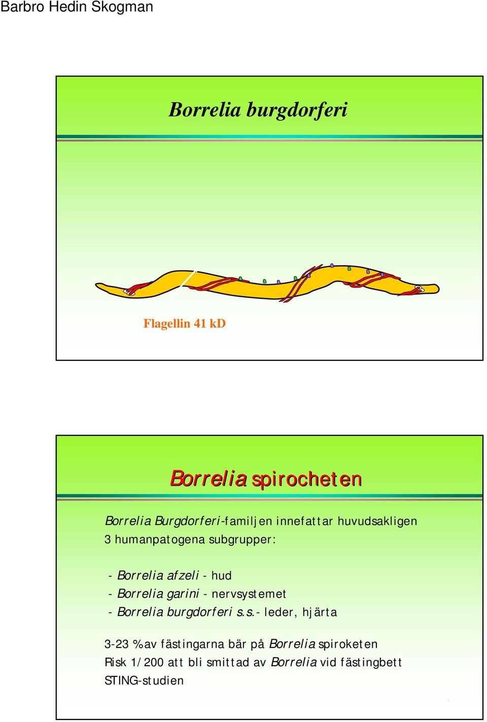 garini -nervsy