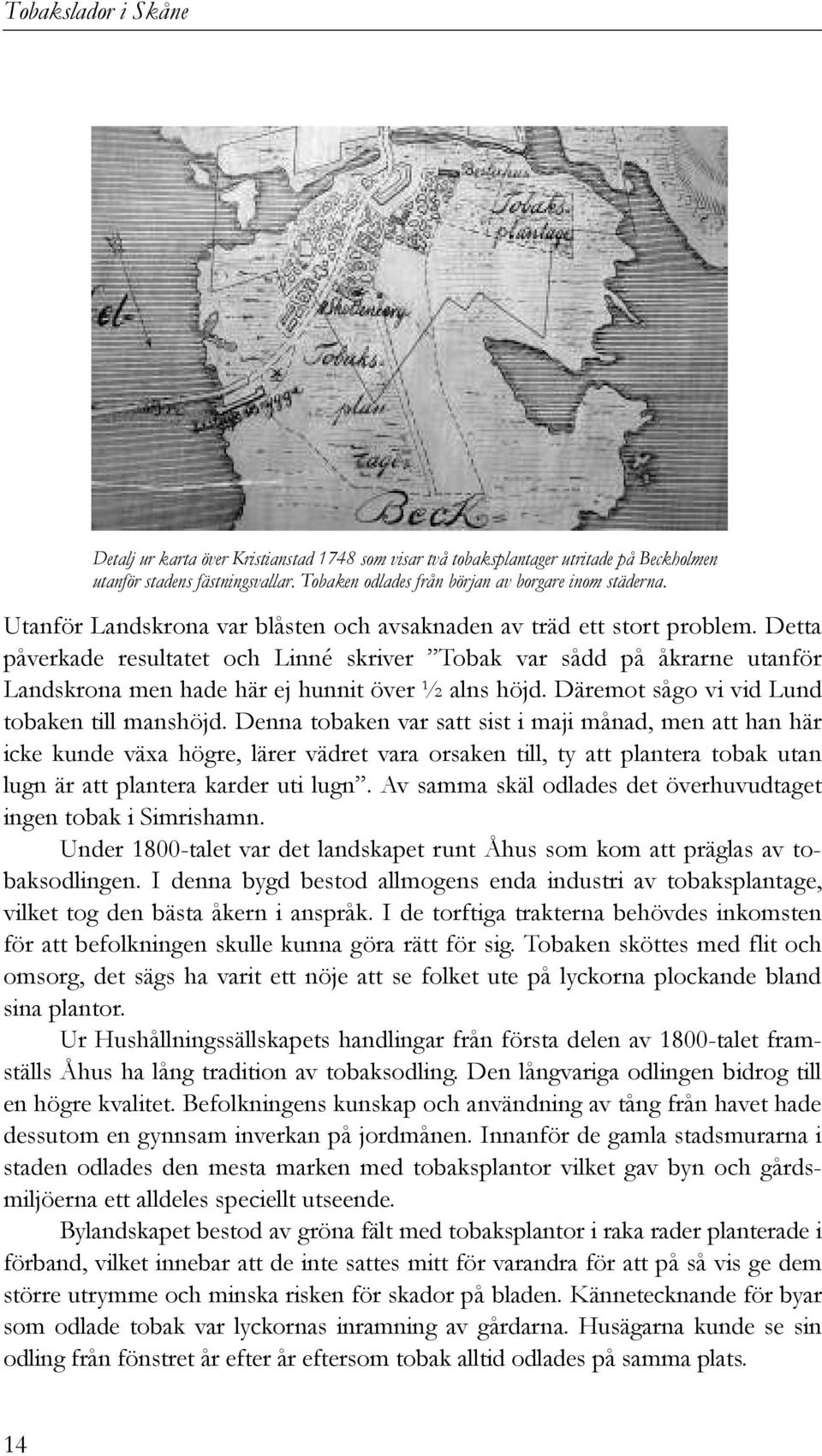 Detta påverkade resultatet och Linné skriver Tobak var sådd på åkrarne utanför Landskrona men hade här ej hunnit över ½ alns höjd. Däremot sågo vi vid Lund tobaken till manshöjd.