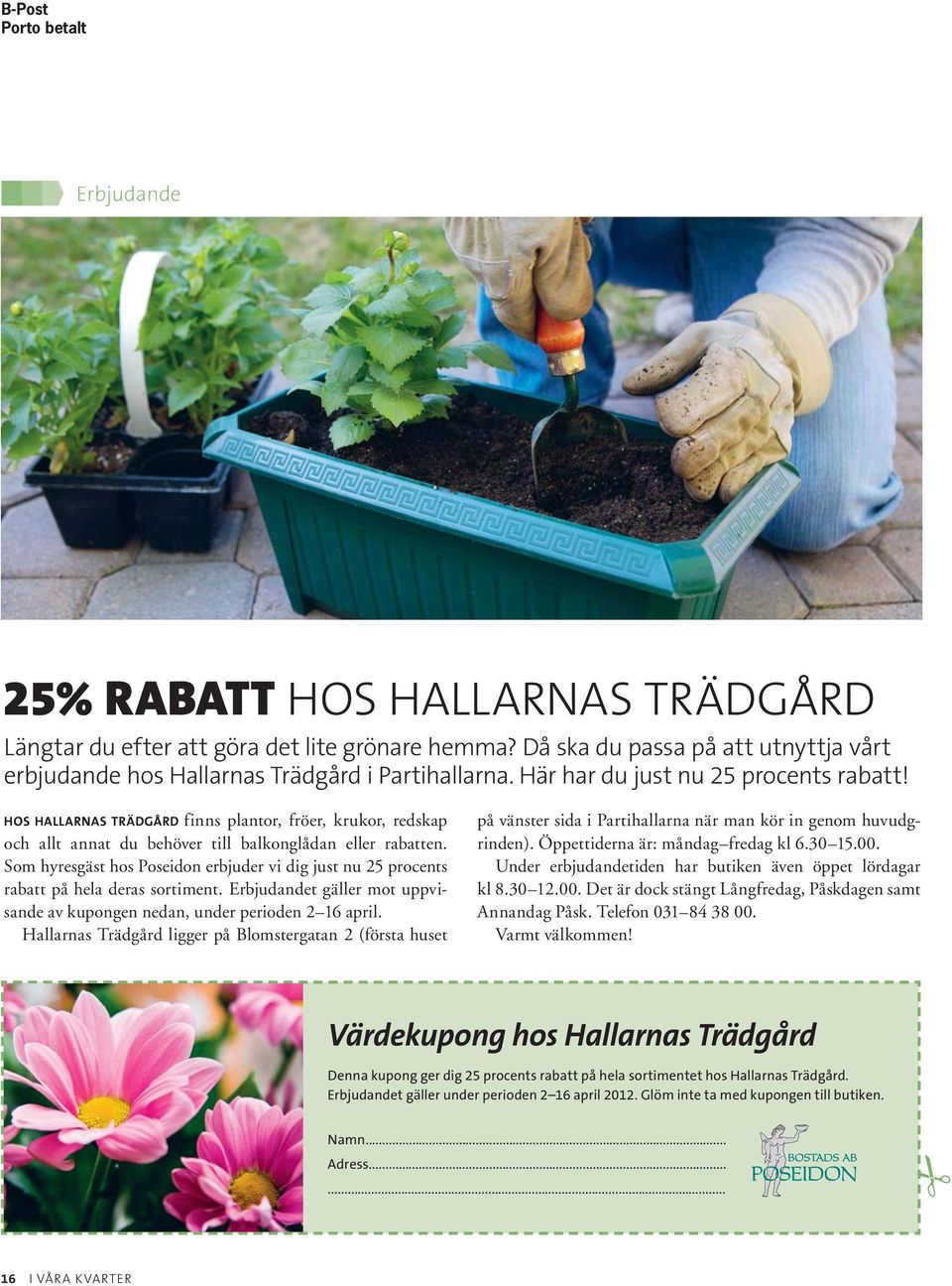 HOS HALLARNAS TRÄDGÅRD finns plantor, fröer, krukor, redskap och allt annat du behöver till balkonglådan eller rabatten.