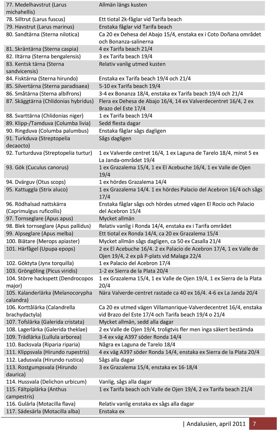 Iltärna (Sterna bengalensis) 3 ex Tarifa beach 19/4 83. Kentsk tärna (Sterna Relativ vanlig utmed kusten sandvicensis) 84. Fisktärna (Sterna hirundo) Enstaka ex Tarifa beach 19/4 och 21/4 85.