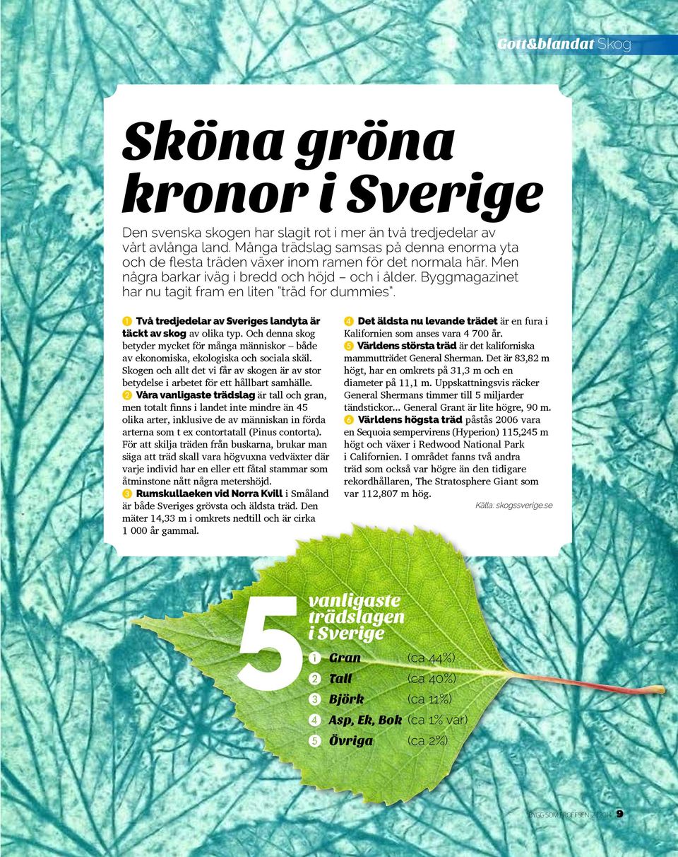 Byggmagazinet har nu tagit fram en liten träd for dummies. 1 Två tredjedelar av Sveriges landyta är täckt av skog av olika typ.