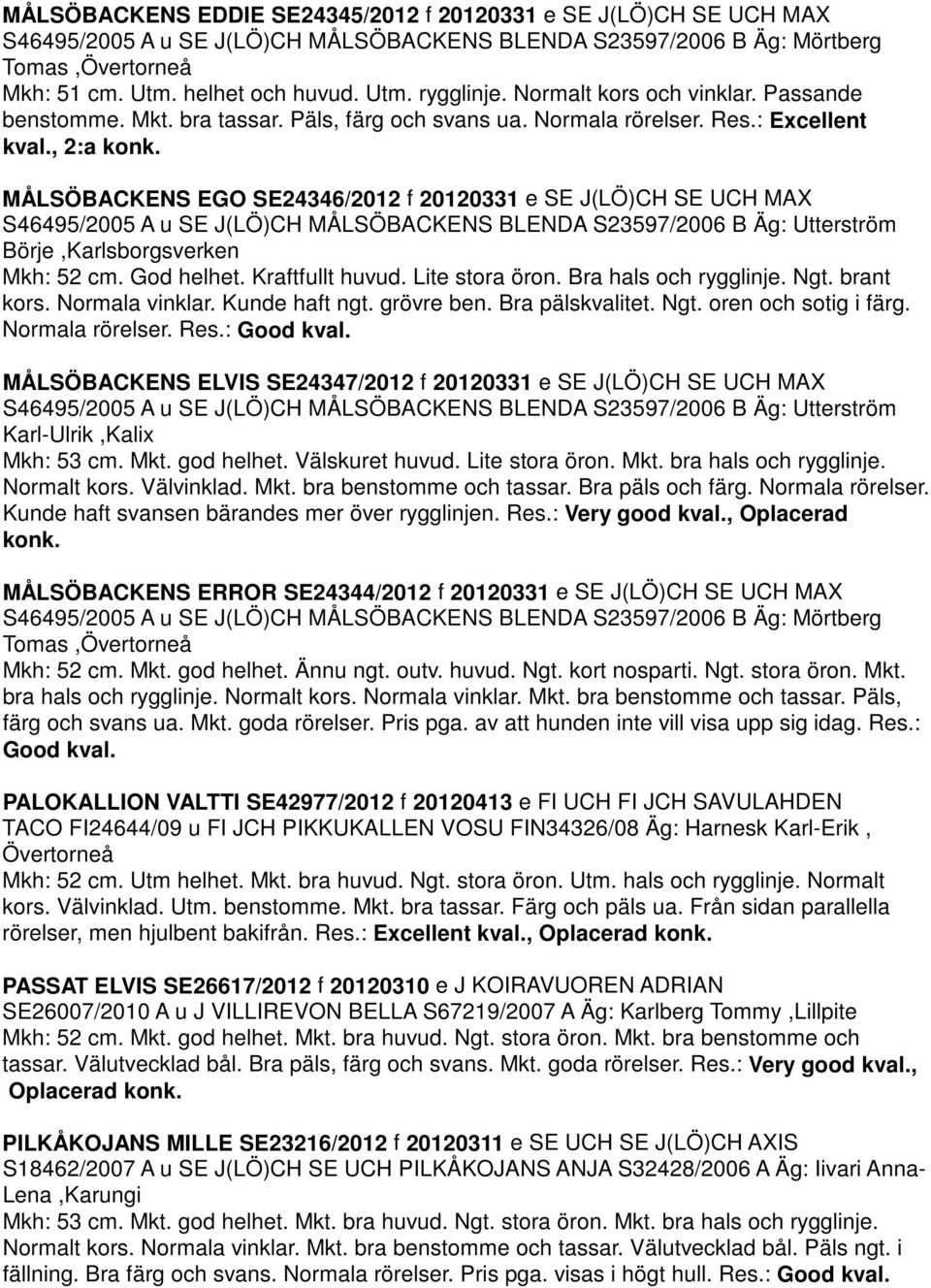 MÅLSÖBACKENS EGO SE24346/2012 f 20120331 e SE J(LÖ)CH SE UCH MAX S46495/2005 A u SE J(LÖ)CH MÅLSÖBACKENS BLENDA S23597/2006 B Äg: Utterström Börje,Karlsborgsverken Mkh: 52 cm. God helhet.