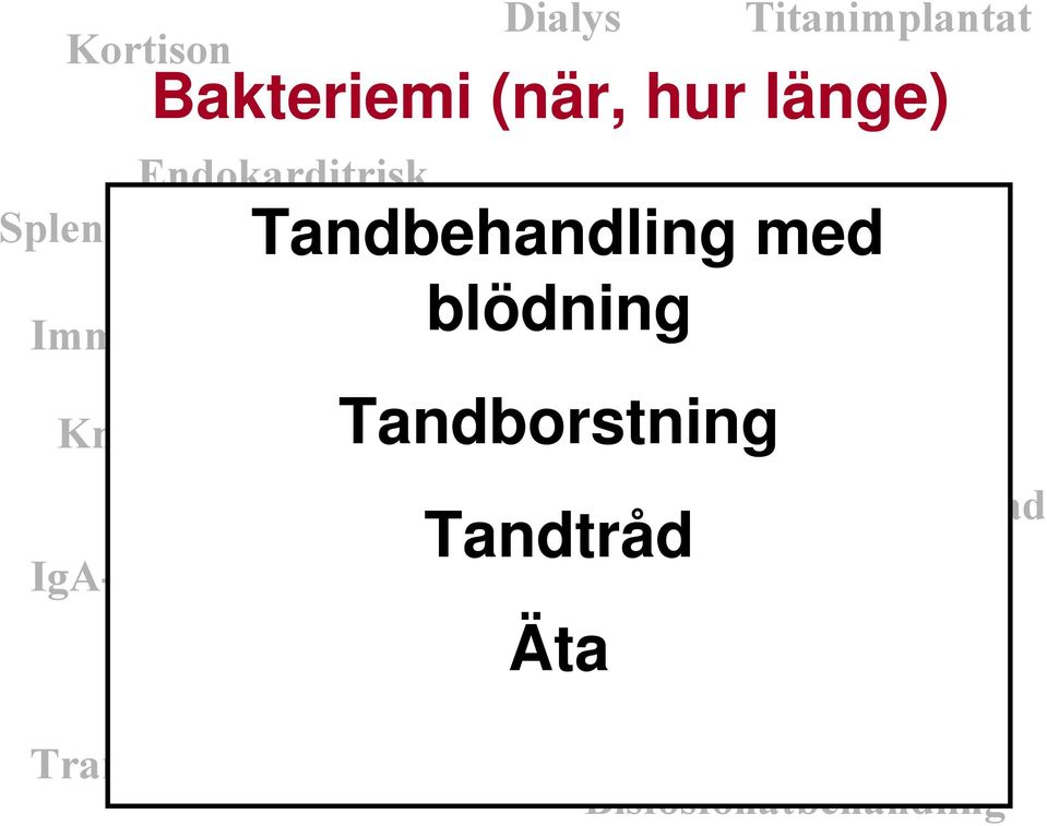 Höftled Knäled Tandborstning By-pass Diabetes Hjärtklaffsopererad Tandtråd IgA-brist Cancer