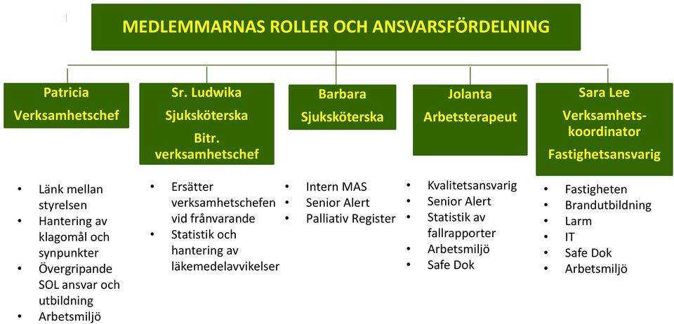 klagomål och synpunkter Övergripande SOL ansvar och utbildning Arbetsmiljö Ersätter verksamhetschefen vid frånvarande Statistik och hantering av