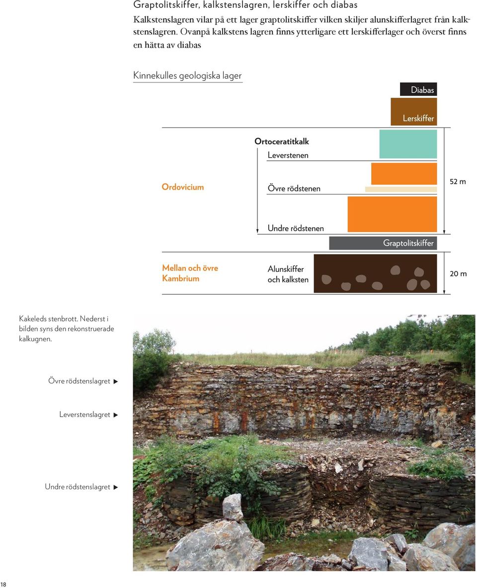 Ovanpå kalkstens lagren finns ytterligare ett lerskifferlager och överst finns en hätta av diabas