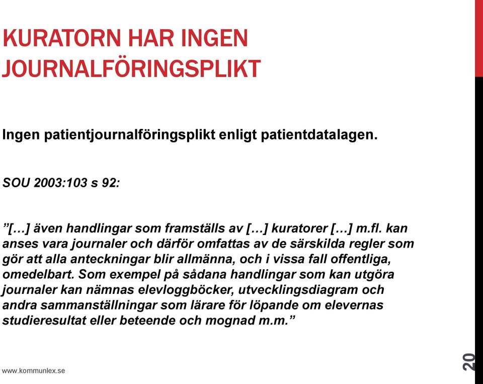 kan anses vara journaler och därför omfattas av de särskilda regler som gör att alla anteckningar blir allmänna, och i vissa fall