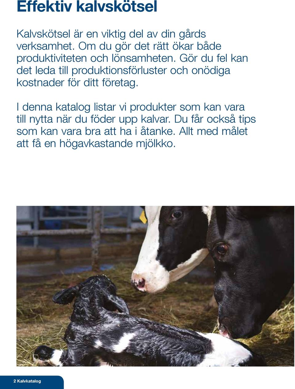 Gör du fel kan det leda till produktionsförluster och onödiga kostnader för ditt företag.