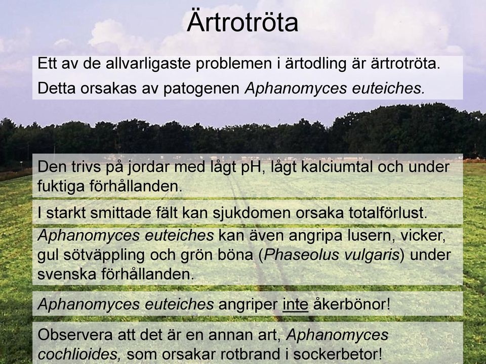 Den trivs på jordar med lågt ph, lågt kalciumtal och under fuktiga förhållanden.