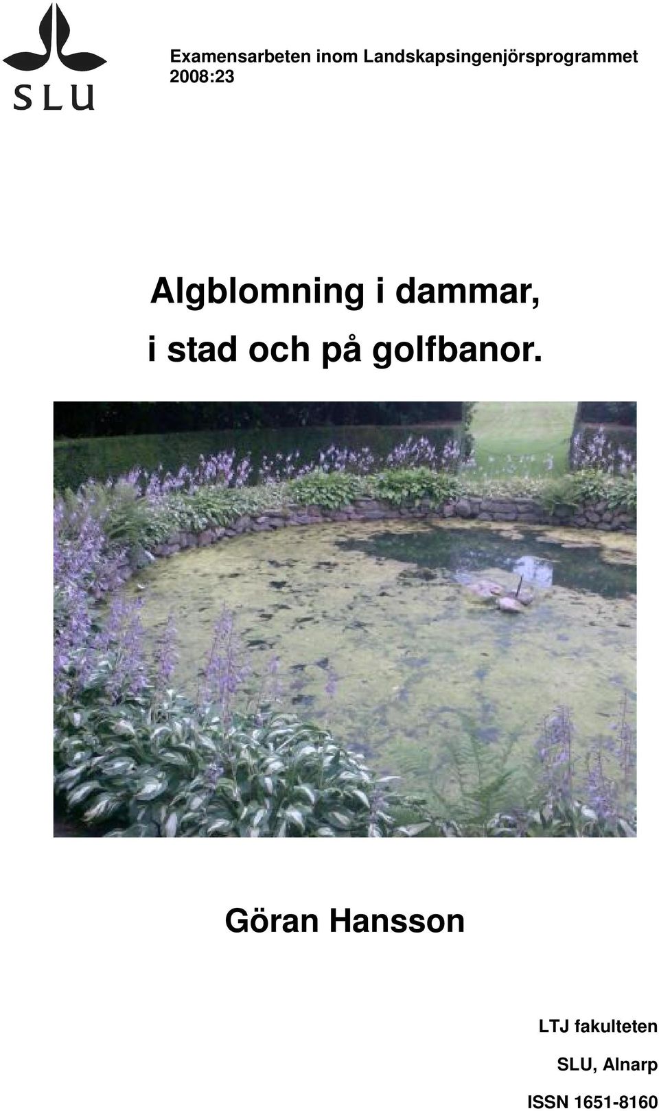 Algblomning i dammar, i stad och på