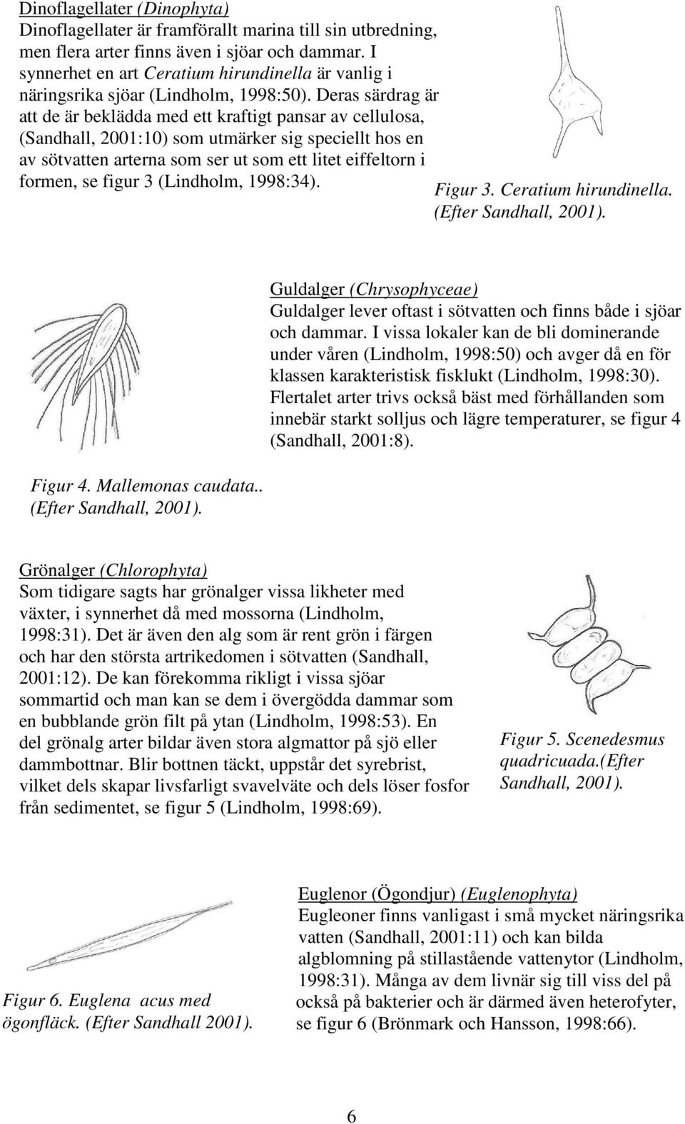 Deras särdrag är att de är beklädda med ett kraftigt pansar av cellulosa, (Sandhall, 2001:10) som utmärker sig speciellt hos en av sötvatten arterna som ser ut som ett litet eiffeltorn i formen, se