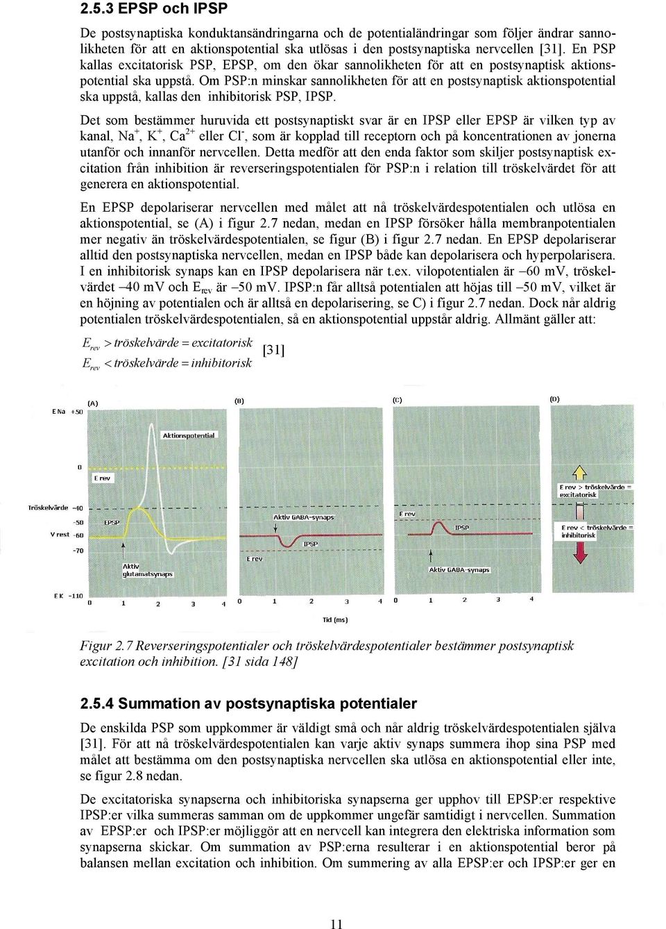 Om PSP:n minskar sannolikheten för att en postsynaptisk aktionspotential ska uppstå, kallas den inhibitorisk PSP, IPSP.