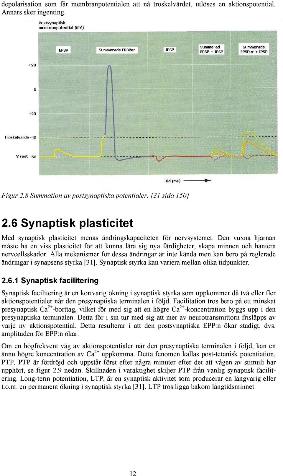 Den vuxna hjärnan måste ha en viss plasticitet för att kunna lära sig nya färdigheter, skapa minnen och hantera nervcellsskador.