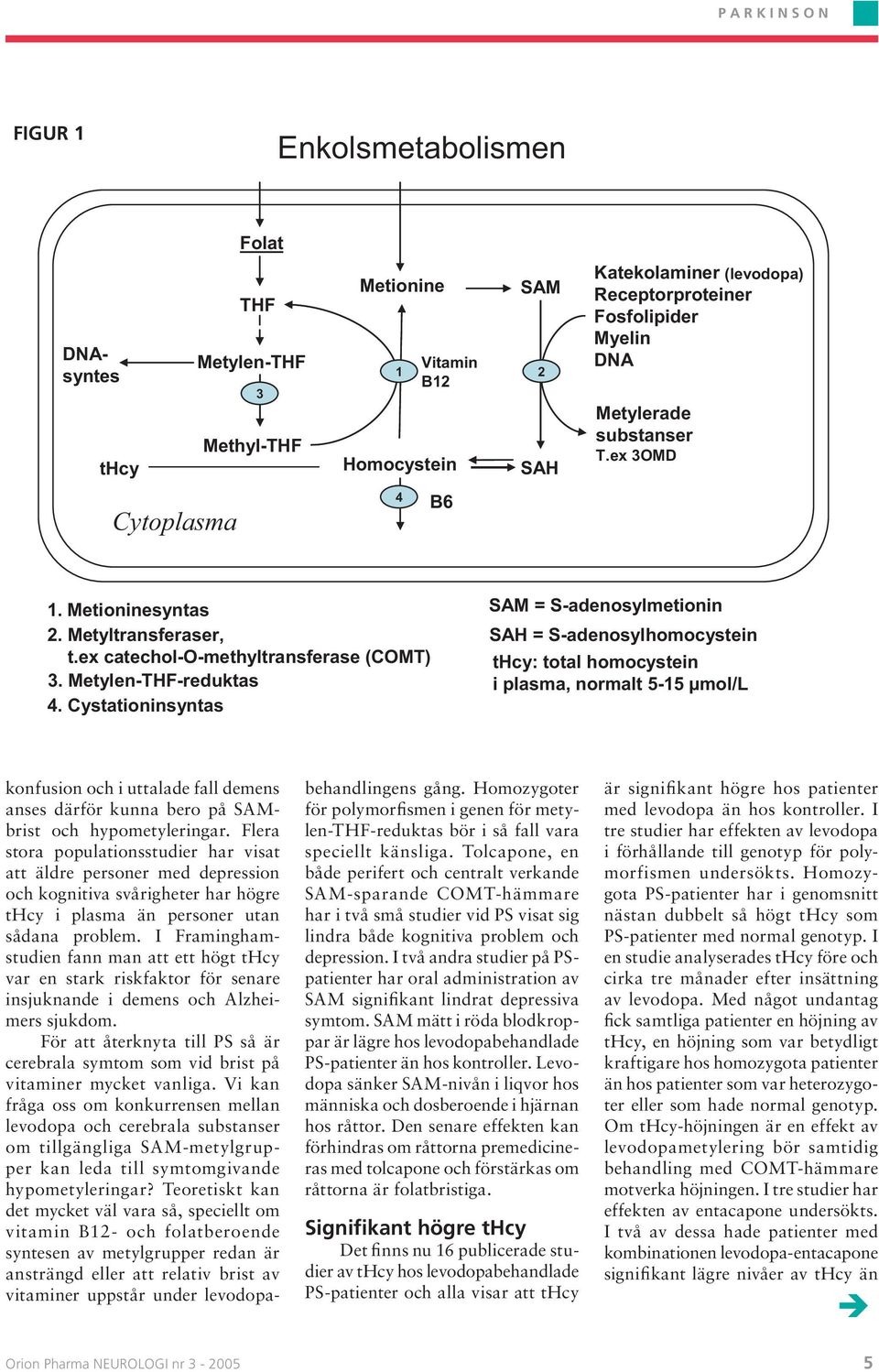 Cystationinsyntas SAM = S-adenosylmetionin SAH = S-adenosylhomocystein thcy: total homocystein i plasma, normalt 5-15 µmol/l konfusion och i uttalade fall demens anses därför kunna bero på SAMbrist