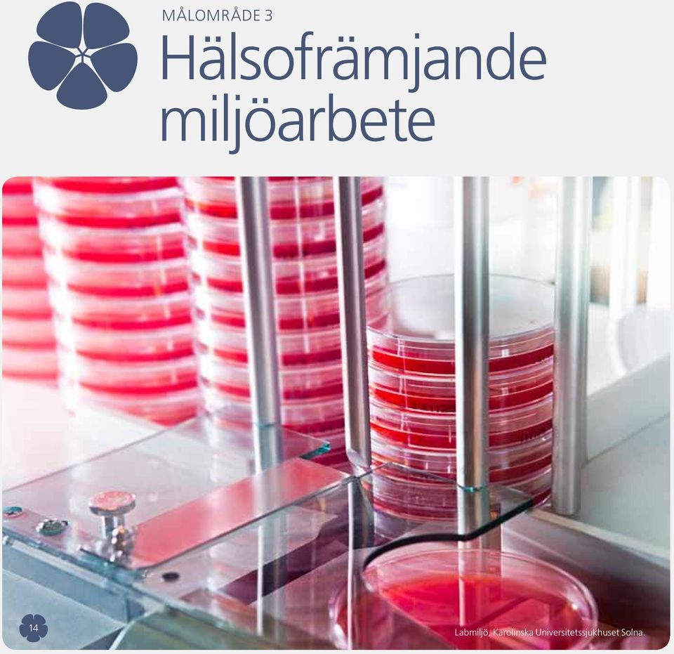 miljöarbete 14